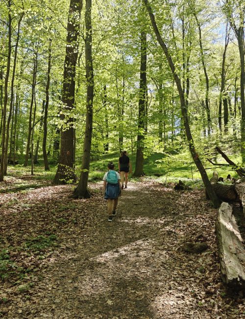 półkolonia Kraków