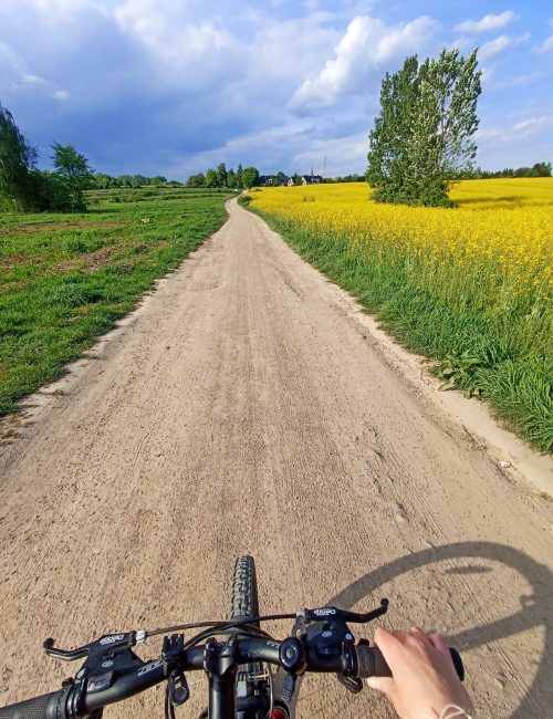 półkolonia rowerowa Kraków