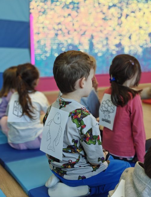 zajęcia sportowe dla przedszkoli